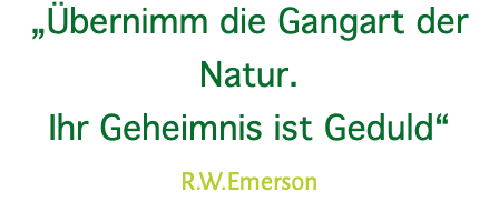 „Übernimm die Gangart der Natur. Ihr Geheimnis ist Geduld“ R.W.Emerson